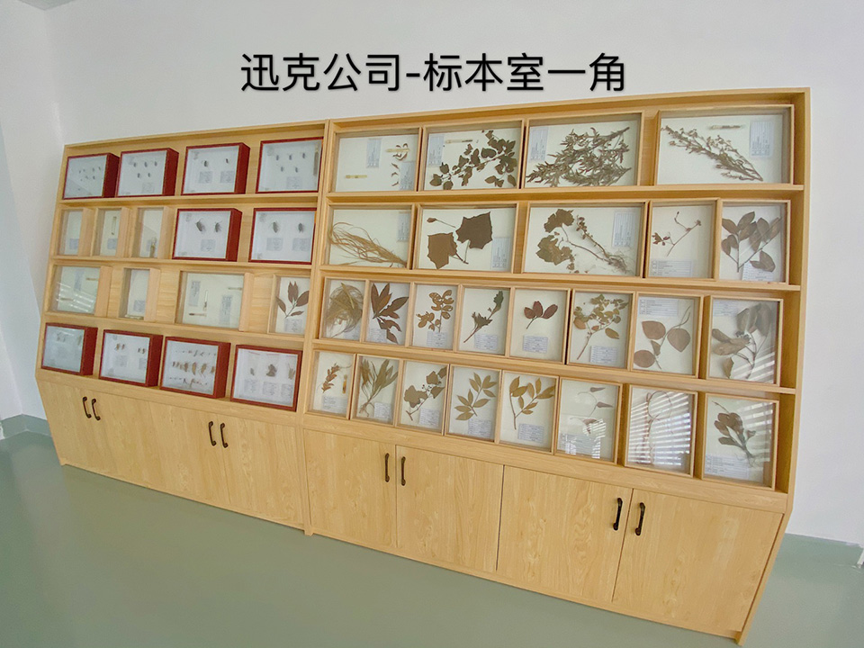 標(biāo)本室一角